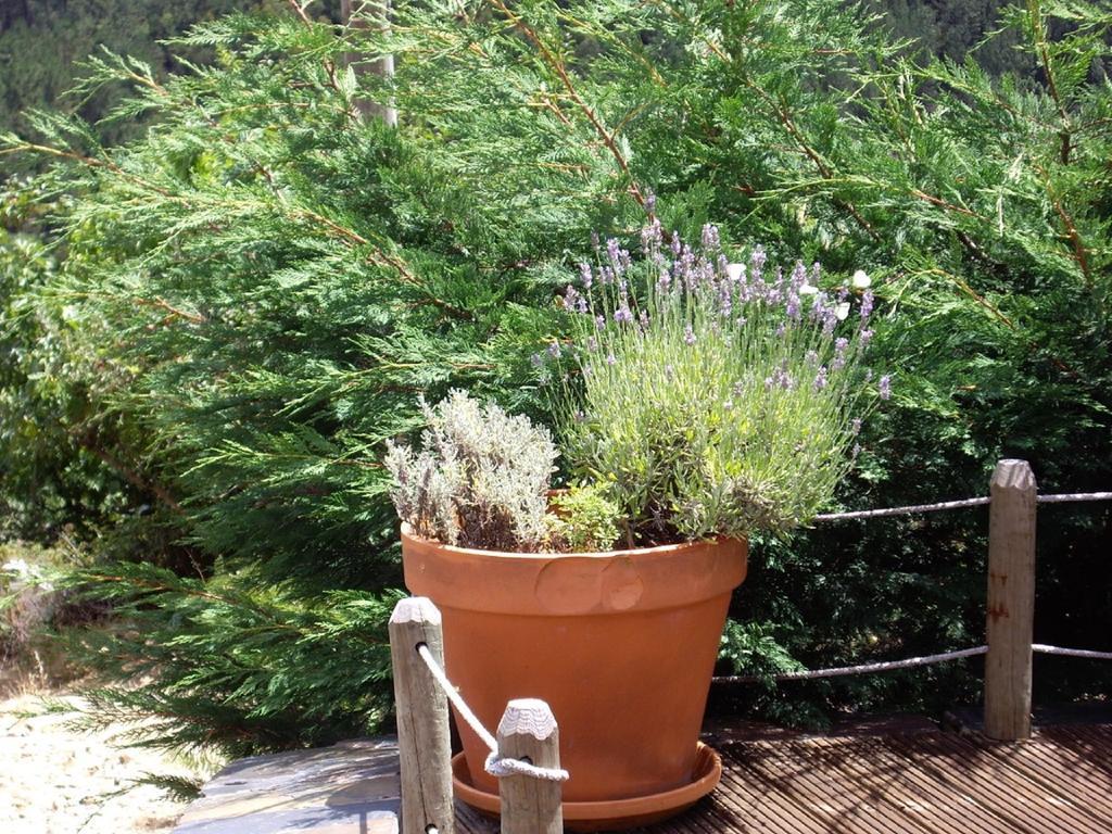 Willa Patio Do Xisto Gondramaz Zewnętrze zdjęcie